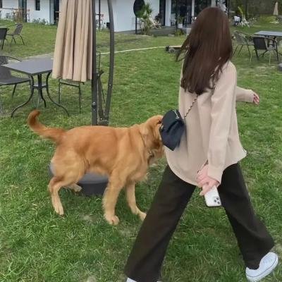 吉祥不高兴